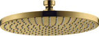 polished gold optic / Gold