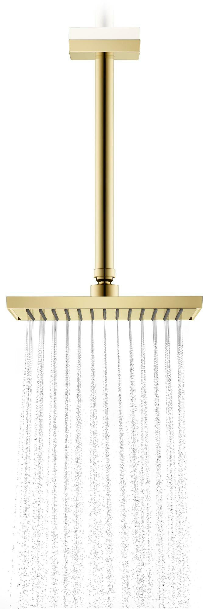 AXOR Kopfbrause 245 x 185 mm, 1 Jet, Chrom – Rain-Strahl für Wand- und Deckenmontage
