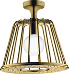 polished gold optic / Gold