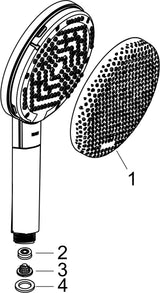 HANSGROHE Raindance Alive Select S 125 Handbrause 3 Strahlarten EcoSmart