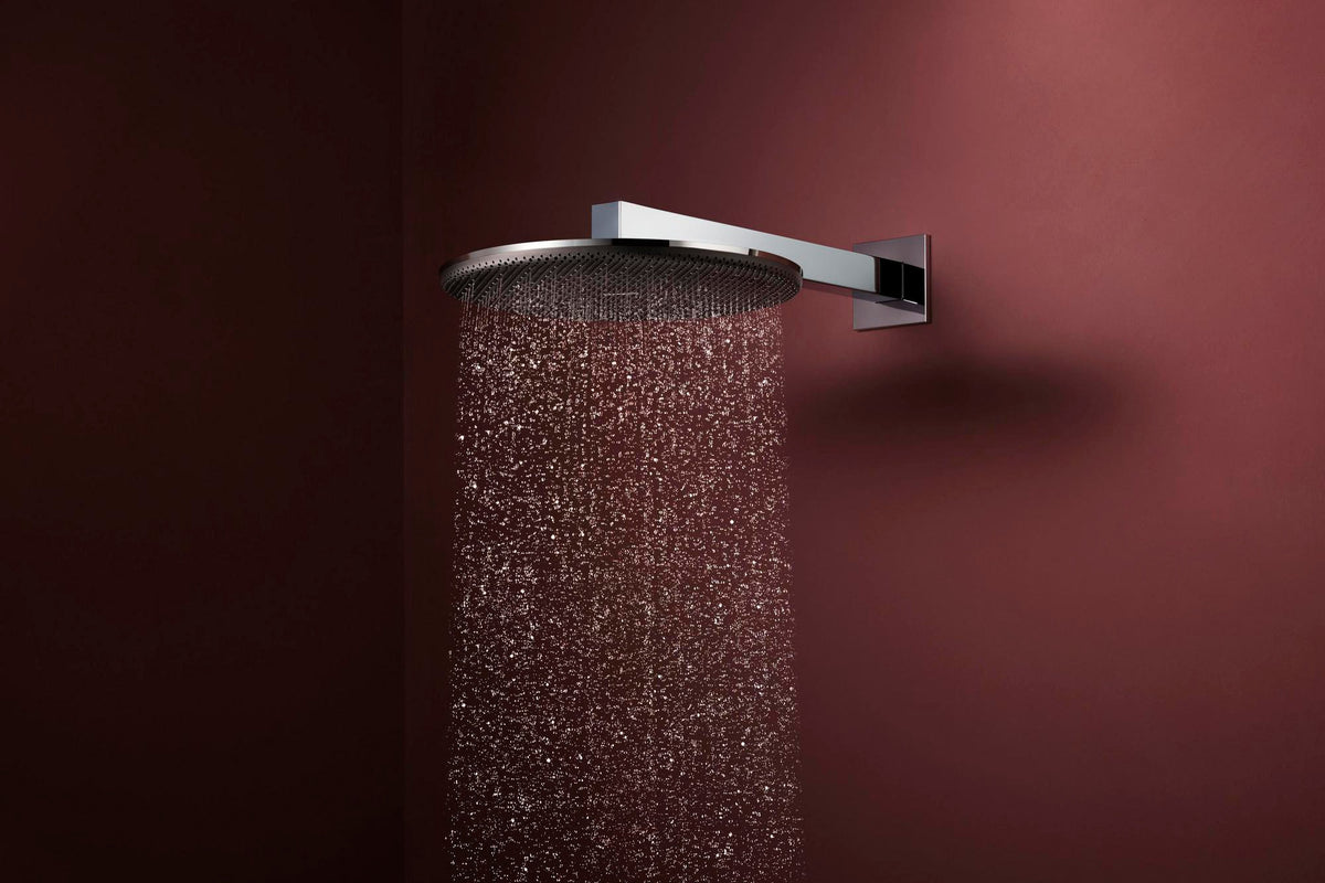 Hansgrohe Raindance Alive S 300 2jet EcoSmart Kopfbrause mit Brausearm – 300 mm, schwarz