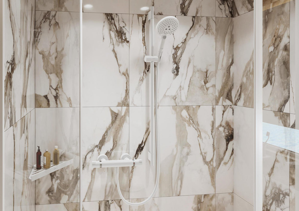 HANSGROHE Ecostat Comfort Brausethermostat DN 15 Aufputz Chrom mit Ecostop-Taste