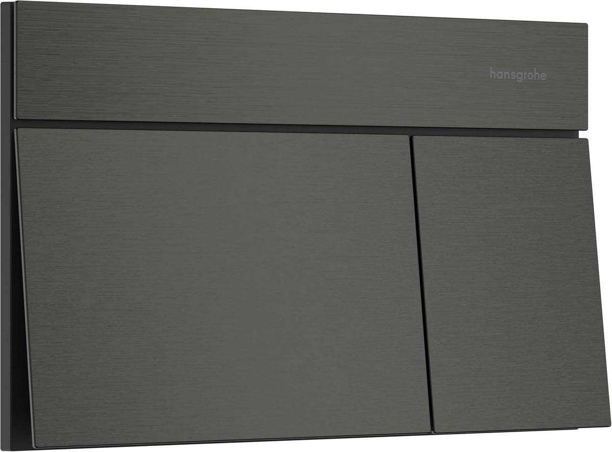 Hansgrohe iFrame Element E Betätigungsplatte mit 2-Mengen-Spülung, Metall, gebürstet