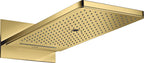 polished gold optic / Gold
