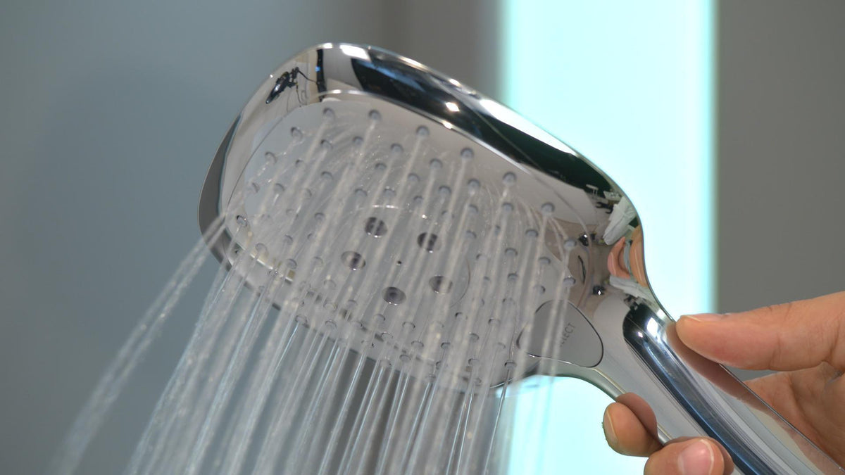 HANSGROHE Raindance Select E 150 Handbrause 3 Strahlarten EcoSmart Chrom