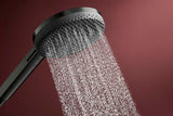 HANSGROHE Raindance Alive Select S Brauseset 125 mm 3 Strahlarten EcoSmart
