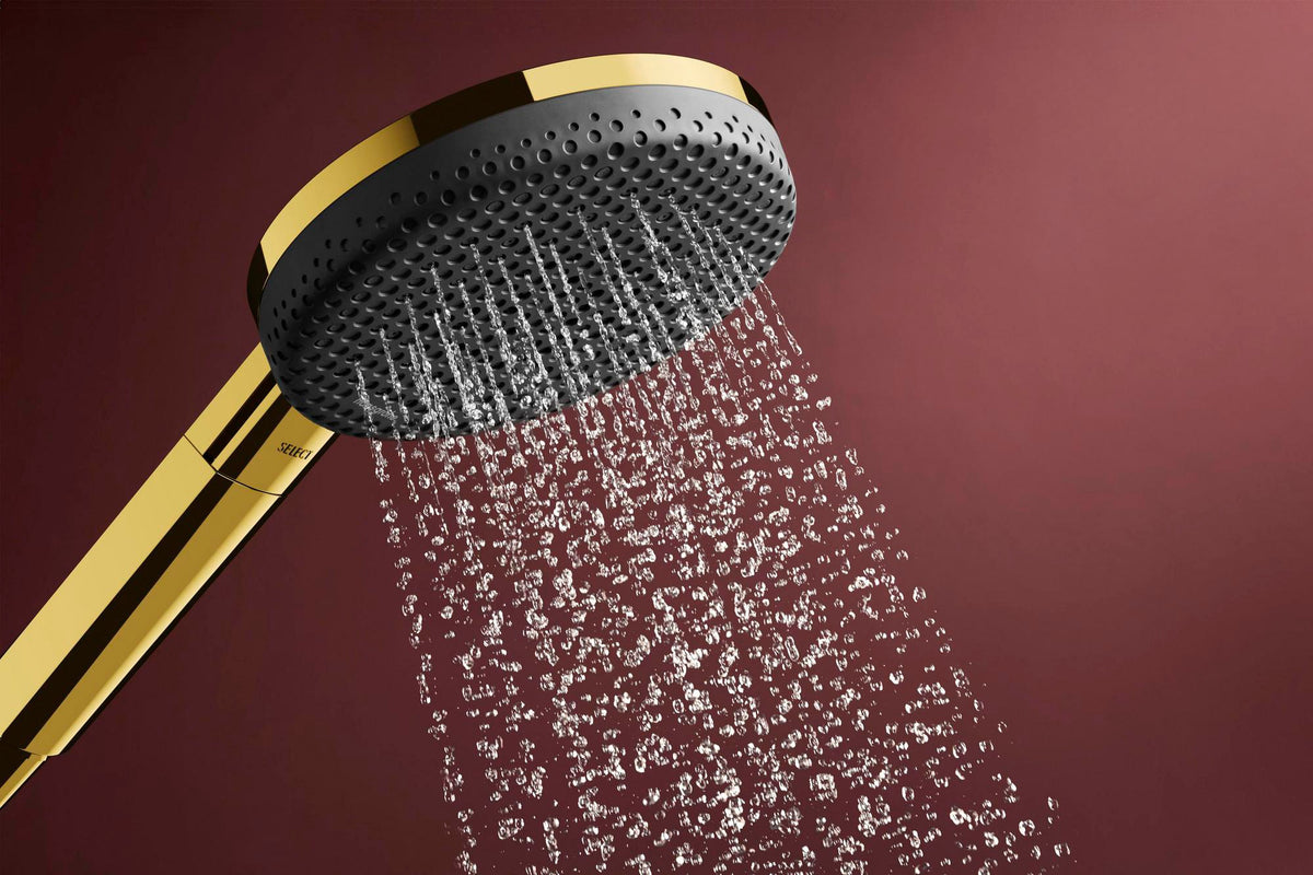 HANSGROHE Raindance Alive Select S Brauseset 125 mm 3 Strahlarten EcoSmart