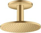 brushed gold optic / Gold