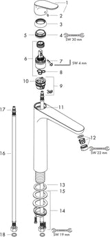 HANSGROHE Focus 230 Einhebel-Waschtischmischer mit Zugstangen-Ablaufgarnitur, chrom