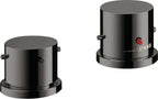 Chrom / polished black chrome