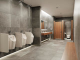 HANSGROHE AddStoris Papierrollenhalter mit Deckel, Chrom, Wandmontage