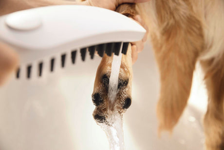 HANSGROHE DogShower 150 Hundeduschbrause mit 3 Strahlarten und Select-Taste