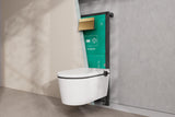 Hansgrohe iFrame Element E Betätigungsplatte mit 2-Mengen-Spülung, Metall, gebürstet