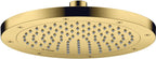 polished gold optic / Gold