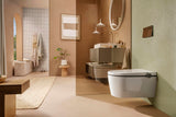 Hansgrohe iFrame Element E Betätigungsplatte mit 2-Mengen-Spülung, Metall, gebürstet