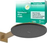 Hansgrohe Raindance Alive S 300 2jet EcoSmart Kopfbrause mit Brausearm – 300 mm, schwarz