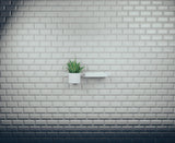 Hansgrohe WallStoris Wandleiste 500 mm mattschwarz – flexibel montierbare Deko- und Befestigungsleiste