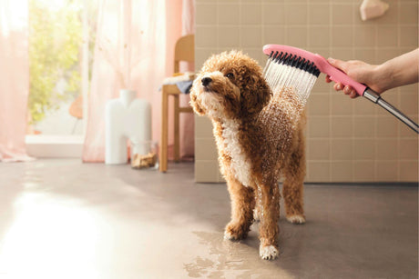 HANSGROHE DogShower 150 Hundeduschbrause mit 3 Strahlarten und Select-Taste