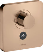 Gold / polished red gold