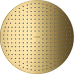 polished gold optic / Gold