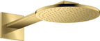 polished gold optic / Gold