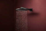 Hansgrohe Raindance Alive S 300 2jet EcoSmart Kopfbrause mit Brausearm – 300 mm, schwarz