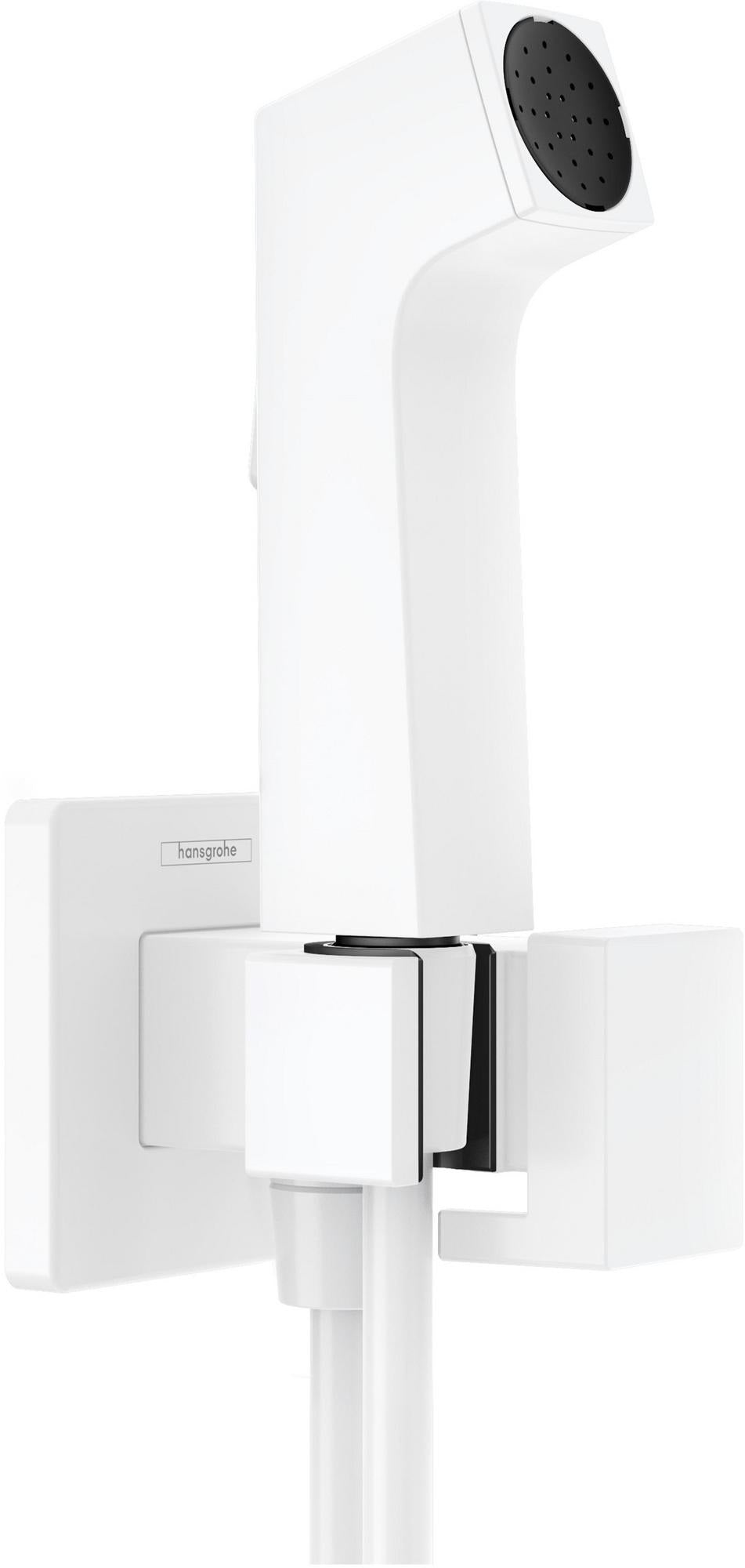 Hansgrohe Bidette-Handbrause 1 Jet Chrom mit Brausehalter und 1250 mm Schlauch