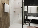 HANSGROHE Raindance Alive Select S Brauseset 125 mm 3 Strahlarten EcoSmart