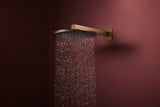 Hansgrohe Raindance Alive S 300 2jet EcoSmart Kopfbrause mit Brausearm – 300 mm, schwarz