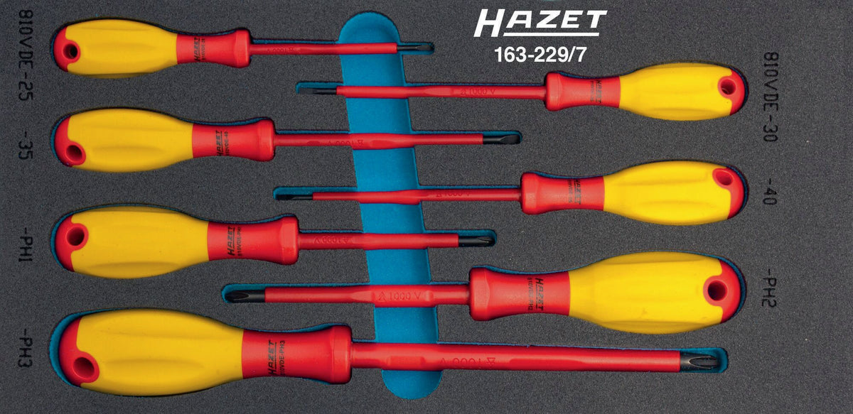 HAZET Werkzeugmodul 163-229/7 7-teilig Schraubendreher-Satz für Werkstattwagen