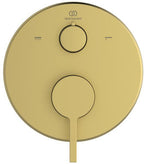 Brushed Gold