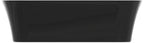 schwarz / IS Schale Ipalyss, o.Hl., o.Ül., 800x400x120mm, Schwarz