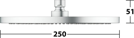 KEUCO Kopfbrause rund 250 mm Bronze gebürstet – Edle Duschkopf-Brause