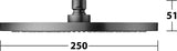 KEUCO Kopfbrause rund 250 mm Bronze gebürstet – Edle Duschkopf-Brause
