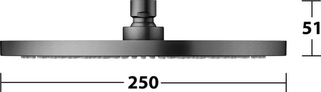 KEUCO Kopfbrause rund 250 mm Bronze gebürstet – Edle Duschkopf-Brause