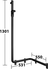 KEUCO AXESS Duschhandlauf 550/531/1301 mm mit Brausestange rechts, silber-eloxiert
