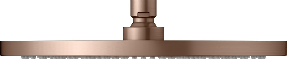 KEUCO Kopfbrause rund 250 mm Bronze gebürstet – Edle Duschkopf-Brause