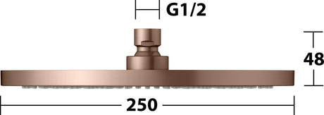 KEUCO Kopfbrause rund 250 mm Bronze gebürstet – Edle Duschkopf-Brause
