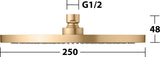 KEUCO Kopfbrause rund 250 mm Bronze gebürstet – Edle Duschkopf-Brause