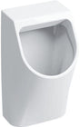 GEBERIT Renova Plan Urinal weiß – Wandhängend, Zulauf hinten, Abgang hinten, 0,5 l Spülvolumen