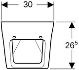 Geberit Pareo Deckelurinal weiß KeraTect – Zulauf hinten, Abgang hinten, 30 cm
