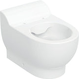 GEBERIT Bambini Stand-WC für Kinder, Tiefspüler Rimfree, H:30cm, weiß