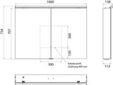 EMCO Bad Lichtspiegelschrank flat 2 Classic Aufputz 1000 mm, 2-türig, Aluminium, LED, IP20