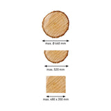 BERNARDO Blockbandsäge – Modell BBS 650 E