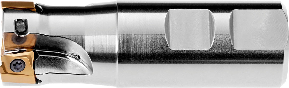 PRAMET Schulterfräser ECON LN D.100mm Aufsteckfräser DIN 8030-A für LNGX/LNGU Wendeschneidplatten