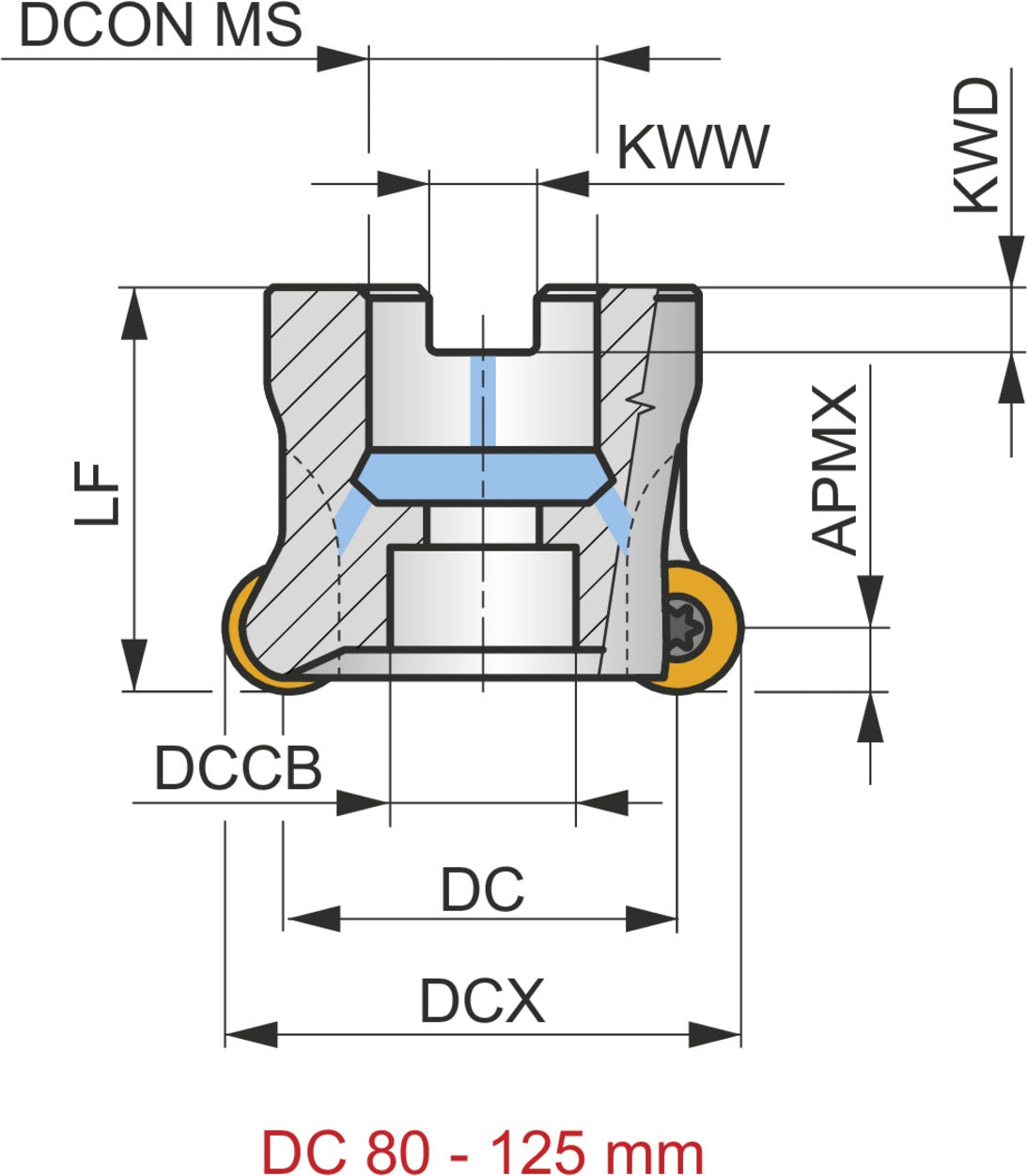 PRAMET Kopier-Planfräser D.100mm mit Wendeplatten – SRC20, DIN 8030-A, 7600 rpm