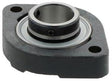 NTN Flanschlager-Gehäuseeinheit ASFD206 30 mm oval – Grauguss, 2-Loch, grün