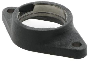 INA Flanschlagergehäuse GEHCJT05 -GG-N-FA125.1 52 mm oval mit Corrotect Rostschutz