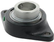 INA Flanschlager-Gehäuseeinheit RCJT55 55 mm oval Grauguss mit Exzenterspannring