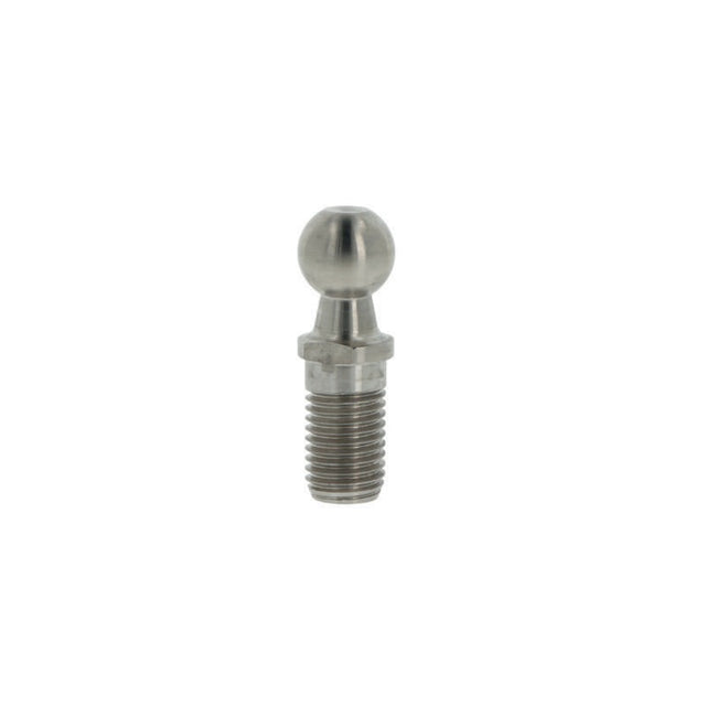 Kugelzapfen C19 M16 INOX von CHIAVETTE – Edelstahl Gelenkkopf, 19 mm Innen